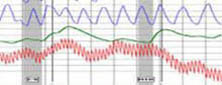 polygraph examination Washington DC